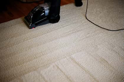 A standard steam cleaning vacuum being pushed across a white carpet that appears to have been vacuumed well. The carpet is very clean and white with lane marks from the machine.